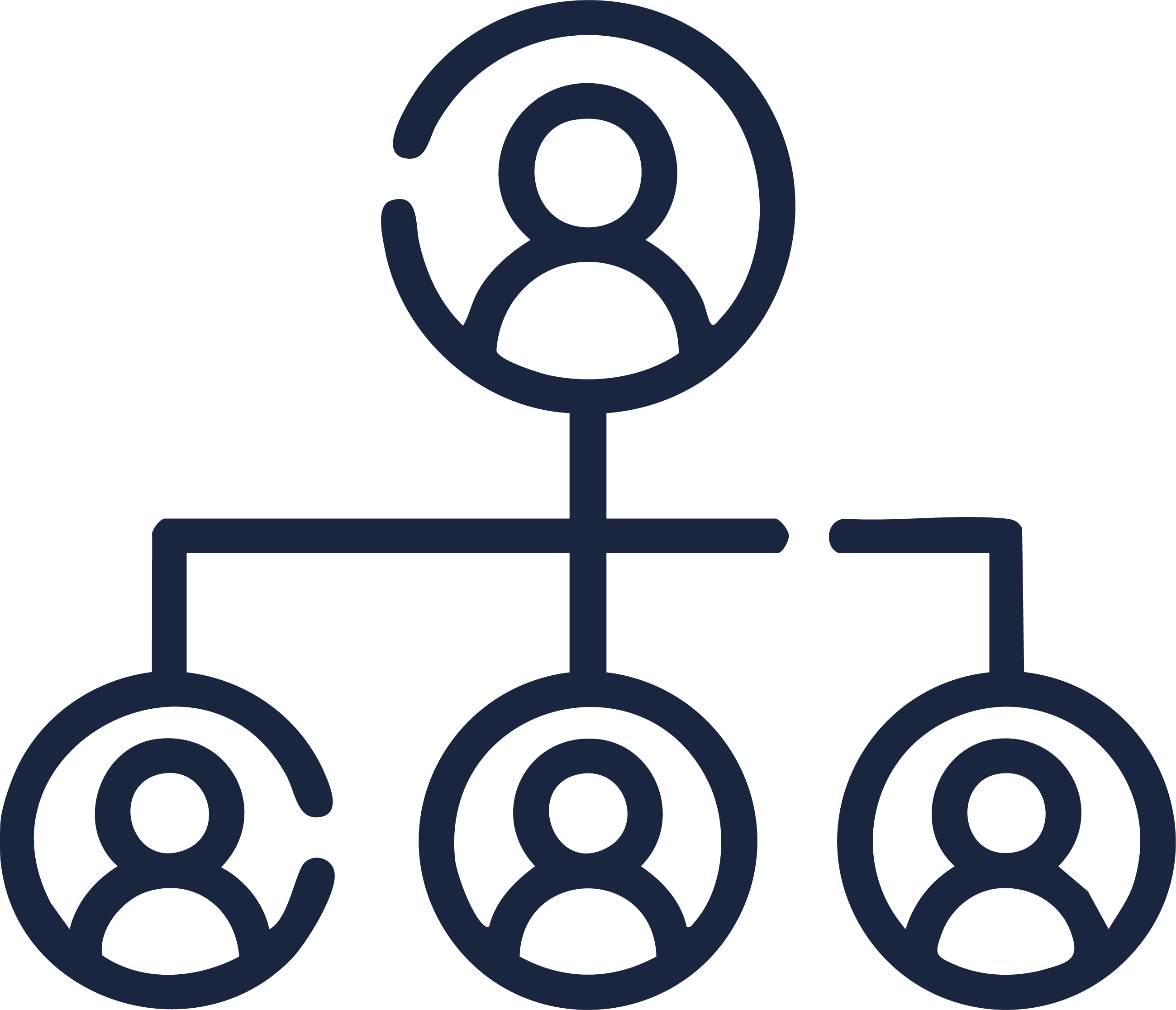 Estructura Org�nica